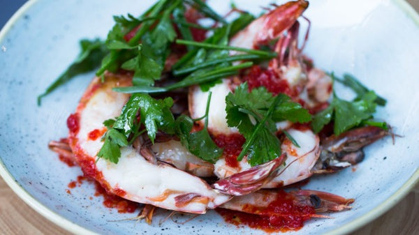 Sydney Spanish wine tasting dinner Balcon Tapavino Elvino