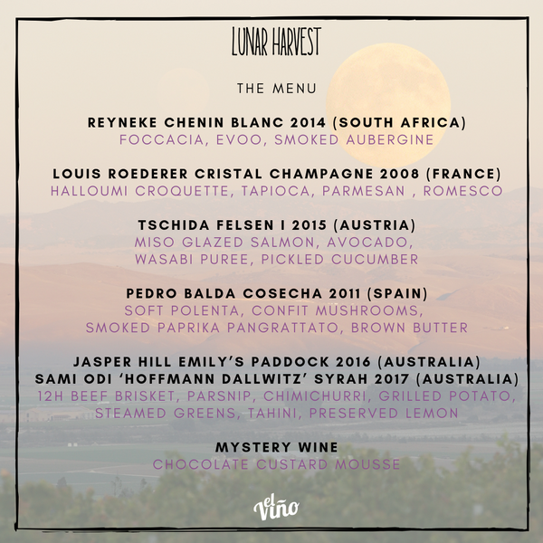 Sydney wine tasting, biodynamic, organic wines, natural wines, vegan friendly wines, Folonomo, Sydney, Wine, Masterclass, Things to Do