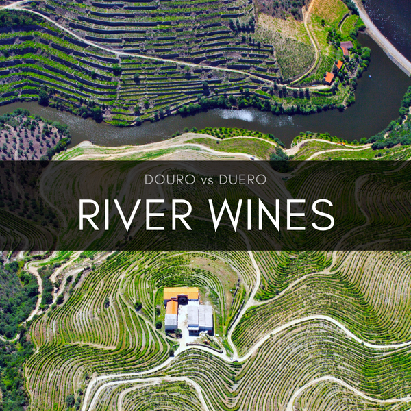 River Wines: Douro vs Duero Masterclass (Early Bird Special)