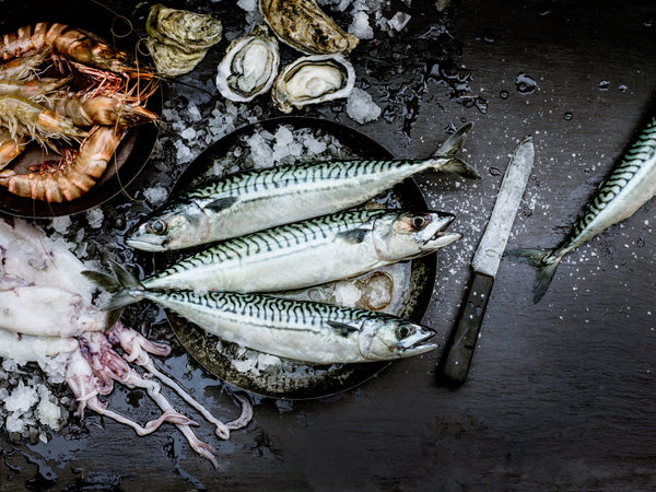 Champagne tasting, Salon, Delamotte, Bollinger, Krug, Love Fish, Barangaroo, gift, wine tasting Sydney